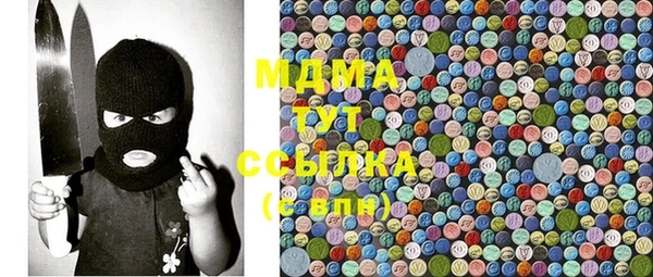 индика Переславль-Залесский