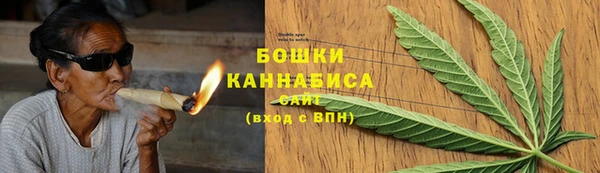индика Переславль-Залесский